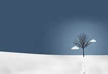 饮食养生有哪些方法